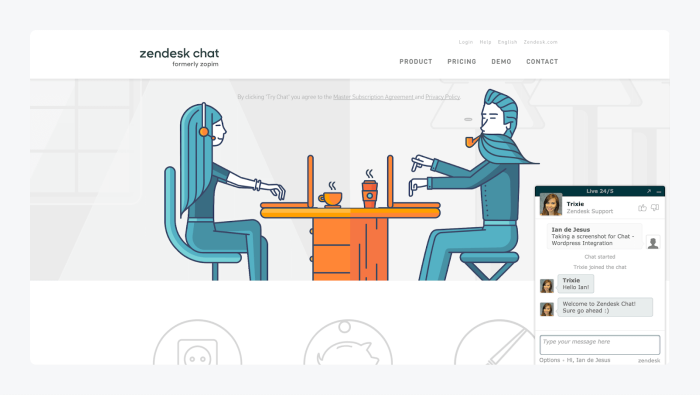 Zendesk chat webpage screenshot